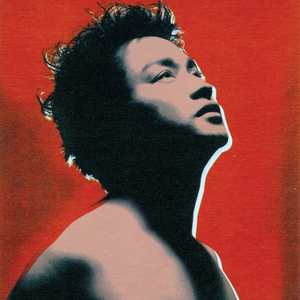 秋霞午夜视频在线观看
