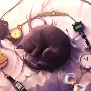 秋霞午夜视频在线观看
