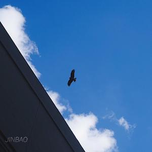 秋霞午夜视频在线观看
